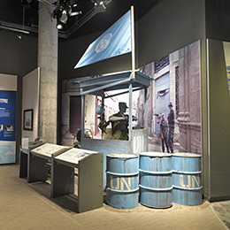 Chypre, galerie 4
Musée canadien de la guerre, MCG2017-00026-0005-Dm
