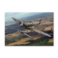 Spitfire Plane Canvas Print