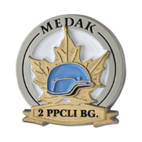 Battle of Medak Lapel Pin