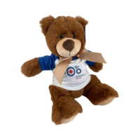 Bradley Bear for the 100th anniversary of the Royal Canadian Air Force