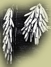 Corn - J3003 - CD96-1179-001