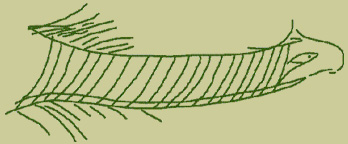 Horned Serpent