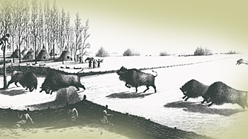 Bison Pound - Library and Archives Canada - C-33615