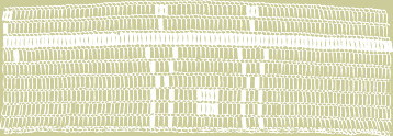 Wampum - Drawing: Susan Laurie-Bourque