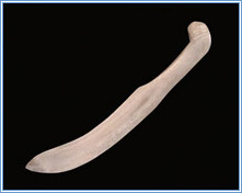 Pana (snow knife). Photographer: Harry Foster. Canadian Museum of Civlization.