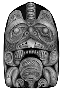 castor