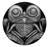 grenouille