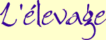 L'élevage
