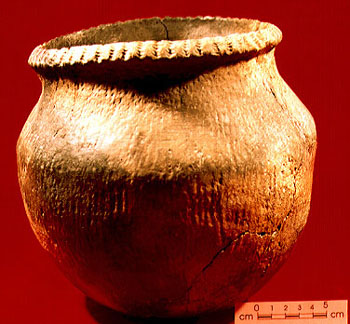 Specimen 4 - S2000-5686 - CD2000-159-018