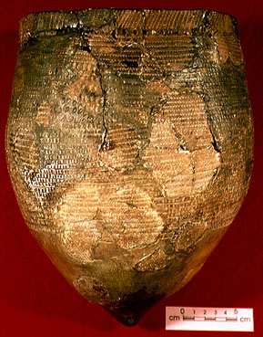 Specimen 10 - S2000-5685 - CD2000-159-017