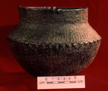 Specimen 3 - S2000-5682 - CD2000-159-014