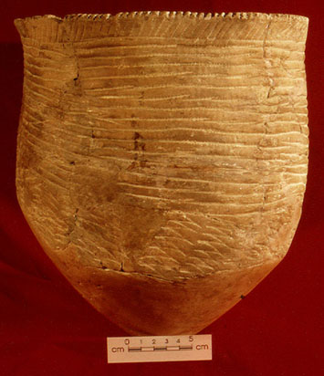 Specimen 13 - S2000-5681 - CD2000-159-027