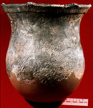 Specimen 12 - S2000-5683 - CD2000-159-015
