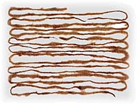 Spun Cordage -Photo: Harry Foster