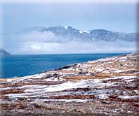 Northern Labrador - 
Photo: Robert McGhee