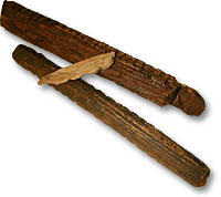 Wooden Tally-stick Fragments - 
Photo: Pat Sutherland