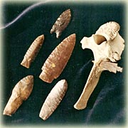 Armatures Planussiennes