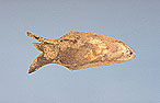 CMC S90 3384