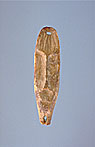 CMC S90 3778