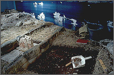 Archaeology Dig