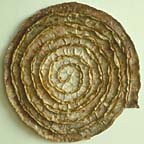 CD0024-3303-0990-038