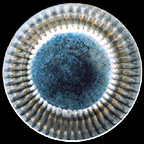 Feather basket bowl