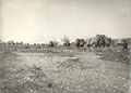 Carpets being transported to a 
railhead by camel, ca 1930s.