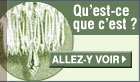 Qu'est-ce que c'est?