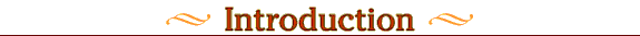 Introduction