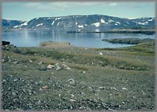 Reservoir Trench