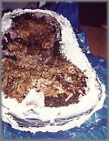 Laboratory Treatment