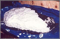 Laboratory Treatment