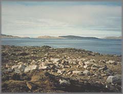 House Remains