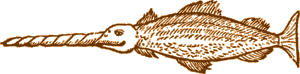 Narwhal; CMC D2004-6194