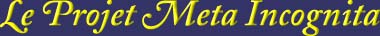 Le projet Meta Incognita