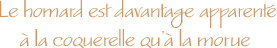 Le homard est davantage apparent 
 la coquerelle qu' la morue