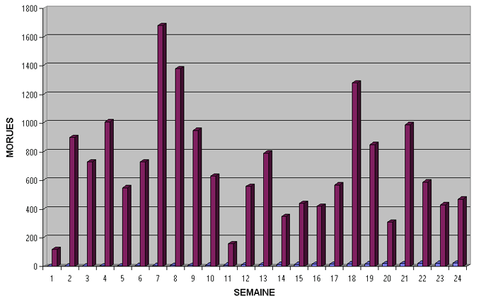 Graphique 2 - Prises hebdomadaires