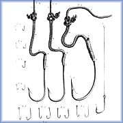 Hooks of various sizes - 
National Library of Canada