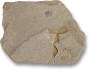 Pointe de jet en pierre - 
DeBd-1:1849 - CD98-8-086