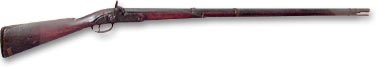 Musket and Percussion Cap - 
D-2955 - Photograph: Steven Darby