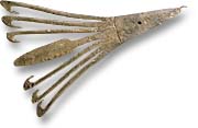 Leister Spear - 
New Brunswick Archaeological Services