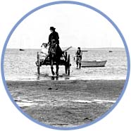 Shore Cart