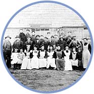 Cannery Crew