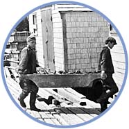 Young Workers