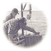 Lobster Fisherman - 
Photograph: John Sylvester