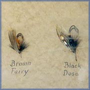 Framed display of salmon flies - 
New Brunswick Museum