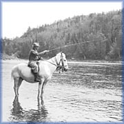 Cliff Davis - 
Archives provinciales du Nouveau-Brunswick