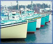 Fibreglass Cape Island Boats - 
Photograph: David Walker
