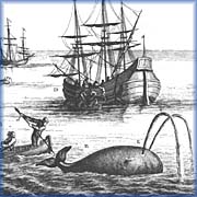 Hunting Whales