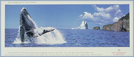 Tourist poster - 
1999.194.6 - CD2000-34-010
